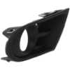 Picture of Fog Light Trim