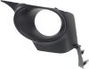 Picture of Fog Light Trim