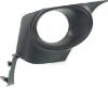 Picture of Fog Light Trim