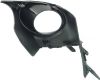 Picture of Fog Light Trim