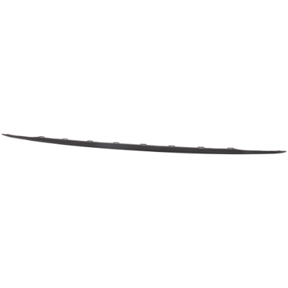 Picture of Bumper Trim