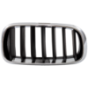 Picture of Grille Assembly
