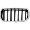 Picture of Grille Assembly