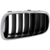 Picture of Grille Assembly