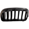 Picture of Grille Assembly