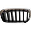 Picture of Grille Assembly
