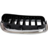 Picture of Grille Assembly