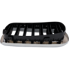 Picture of Grille Assembly