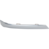 Picture of Fog Light Trim