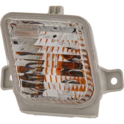 Picture of Turn Signal Light