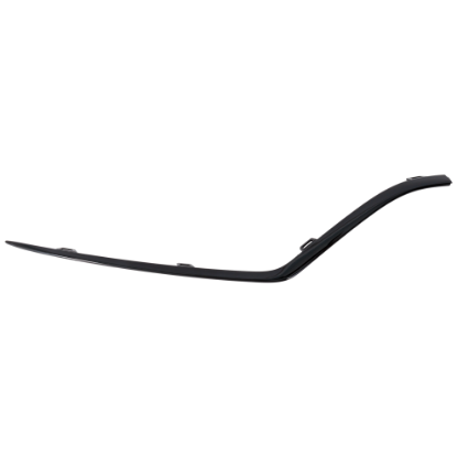 Picture of Bumper Trim