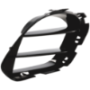 Picture of Bumper Grille