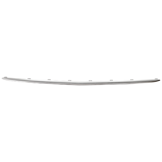 Picture of Bumper Trim
