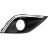Picture of Fog Light Trim