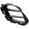 Picture of Bumper Grille