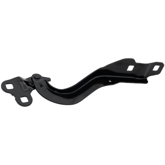 Picture of Hood Hinge