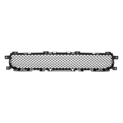 Picture of Bumper Grille