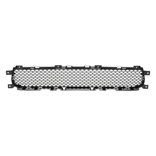 Picture of Bumper Grille