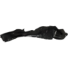 Picture of Fender Liner