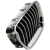 Picture of Grille Assembly