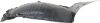Picture of Fender Liner