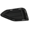 Picture of Fog Light Cover