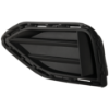 Picture of Fog Light Cover