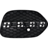 Picture of Bumper Grille