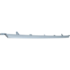 Picture of Bumper Trim
