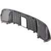 Picture of Bumper Grille