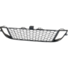 Picture of Bumper Grille