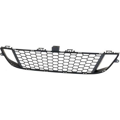 Picture of Bumper Grille