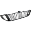 Picture of Bumper Grille