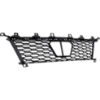 Picture of Bumper Grille