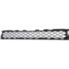 Picture of Bumper Grille