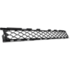 Picture of Bumper Grille
