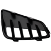 Picture of Bumper Grille