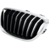 Picture of Grille Assembly