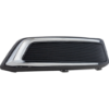 Picture of Fog Light Cover