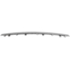 Picture of Grille Trim