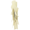 Picture of Fan Blade