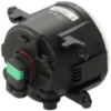 Picture of Fog Light