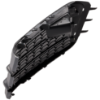 Picture of Fog Light Cover