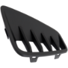 Picture of Bumper Grille