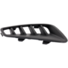 Picture of Bumper Grille