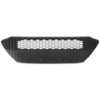Picture of Bumper Grille