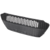 Picture of Bumper Grille