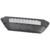 Picture of Bumper Grille