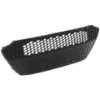 Picture of Bumper Grille