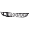 Picture of Bumper Grille